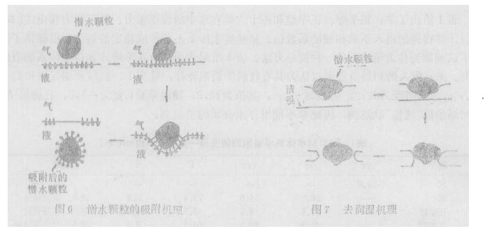 圖6、7.JPG